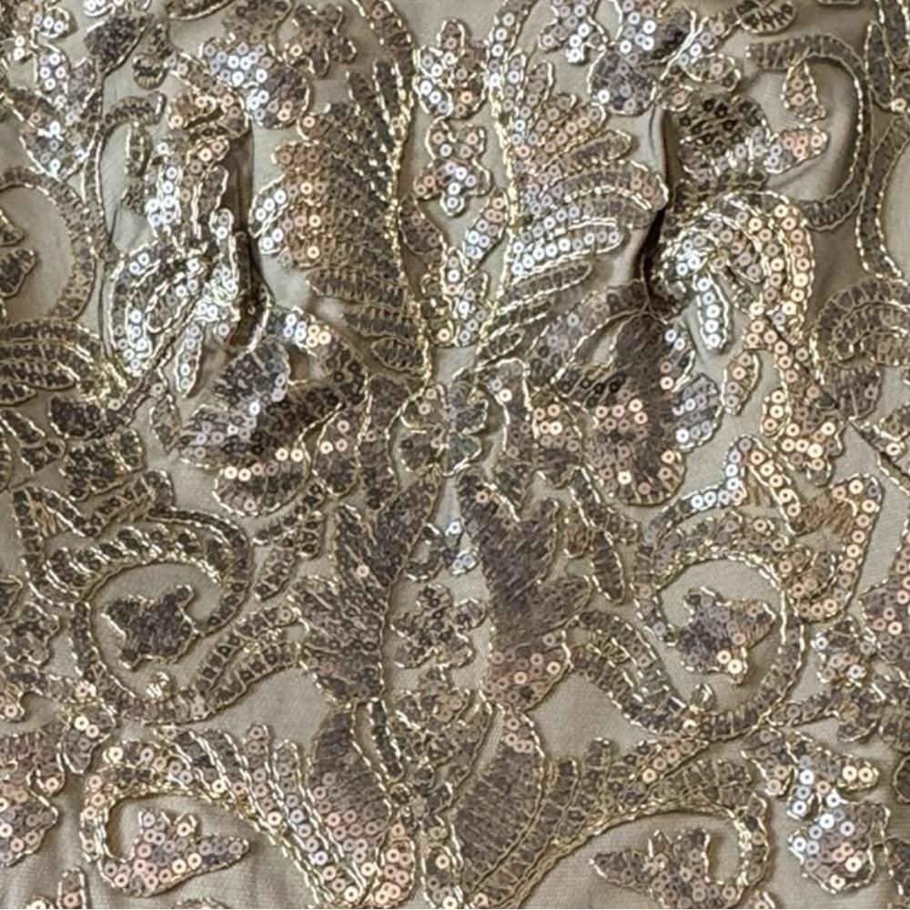 Tadashi Shoji Jemison Champagne Latte Sequin Embroidered Gown Dress Size 8 - Picture 5 of 7